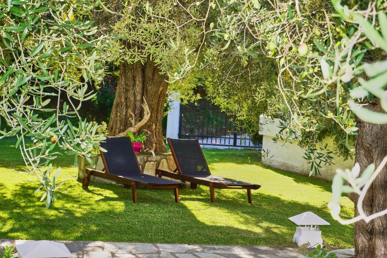 Villa The Cosy Olive Όρμος Παναγιάς Εξωτερικό φωτογραφία